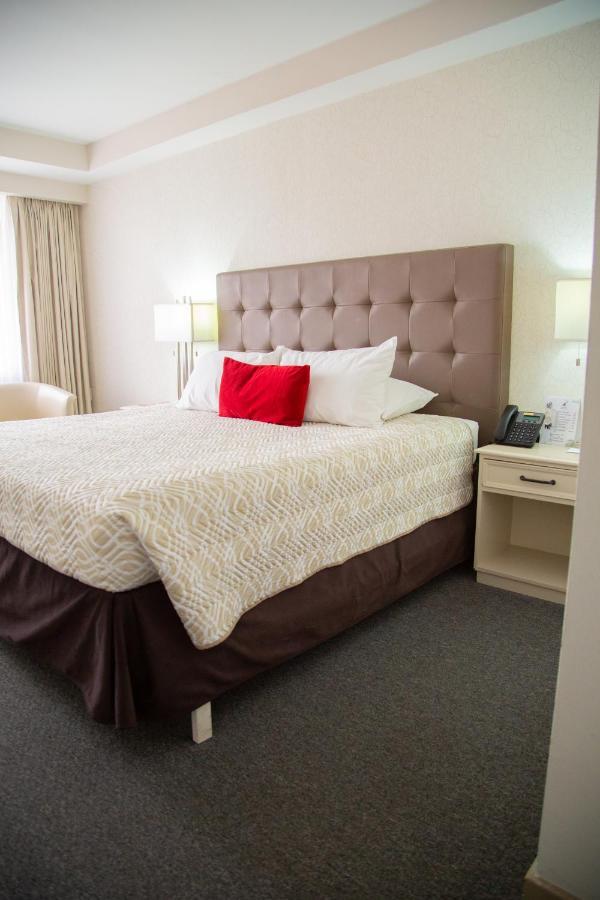 Habitación Doble Premium